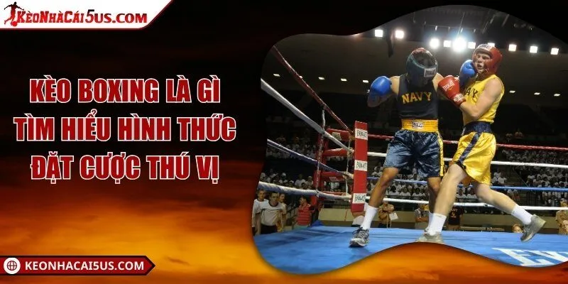 Kèo boxing là gì - Tìm hiểu hình thức đặt cược thú vị