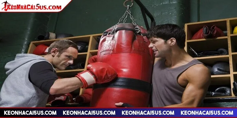 Kèo boxing là gì, hình thức cá cược đặc sắc cho người chơi