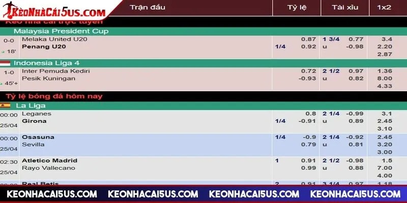 Trang web update tỷ lệ cá cược xanh chín