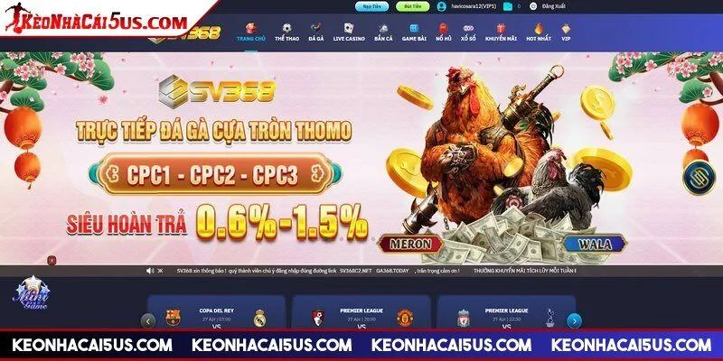 Nền tảng đưa ra mức hoàn trả cá cược siêu hấp dẫn