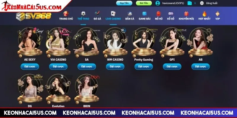 Nền tảng liên kết với NPH uy tín đảm bảo chất lượng dịch vụ